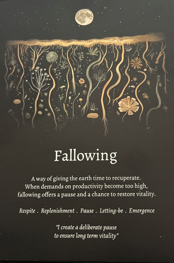 Poster titled 'Fallowing' showing a soil surface with long hanging roots and plant silhouettes under a moonlit sky, with explanatory text about resting soil to restore vitality.